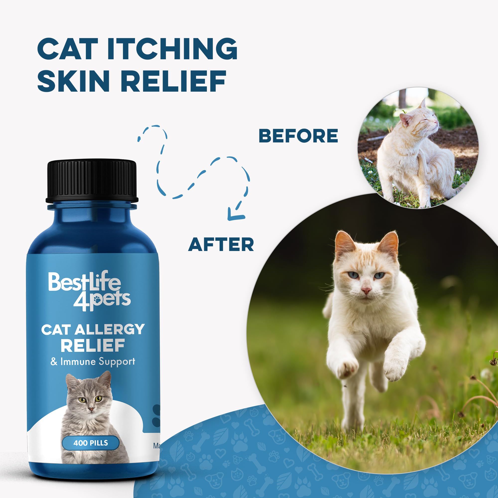 BestLife4Pets kitten-nose-closeup gentle daily support for nasal comfort