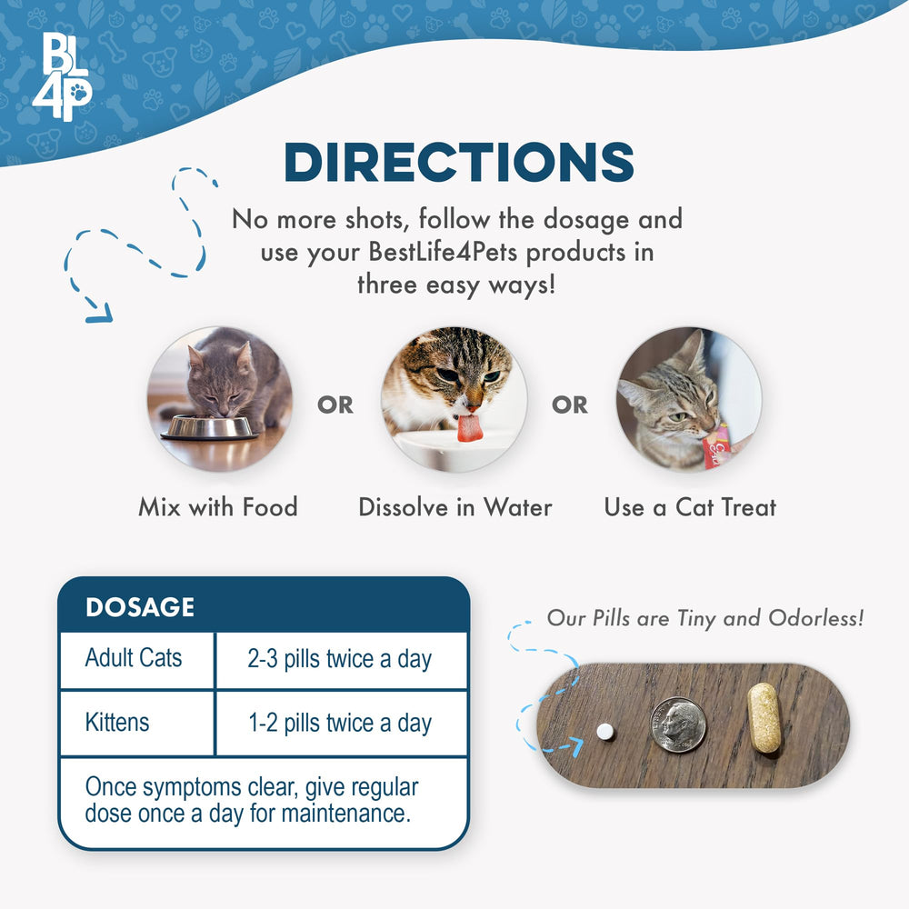 BestLife4Pets kitten-happy-health playful cat after consistent use