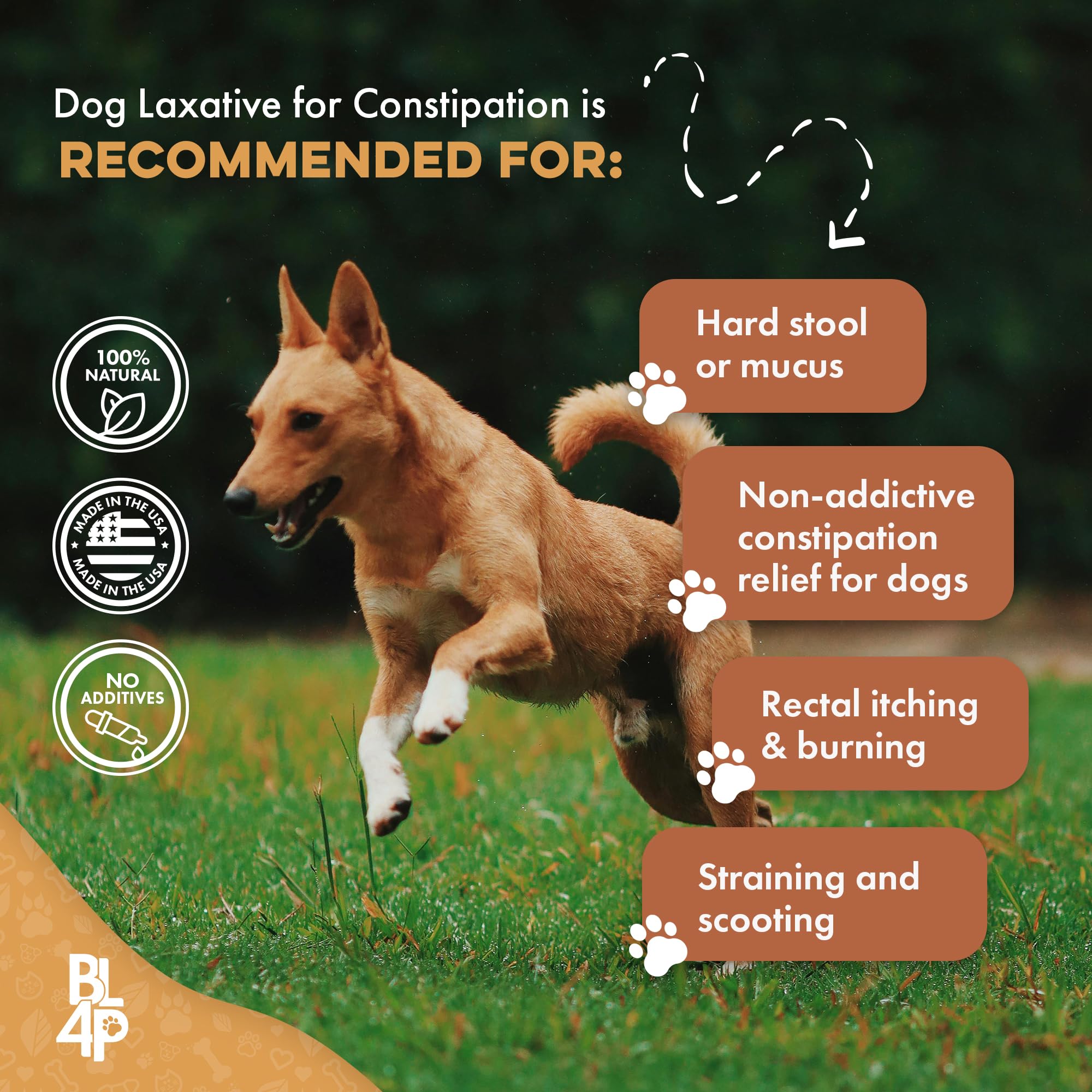 BestLife4Pets odorless tasteless pills shown for stress-free administration