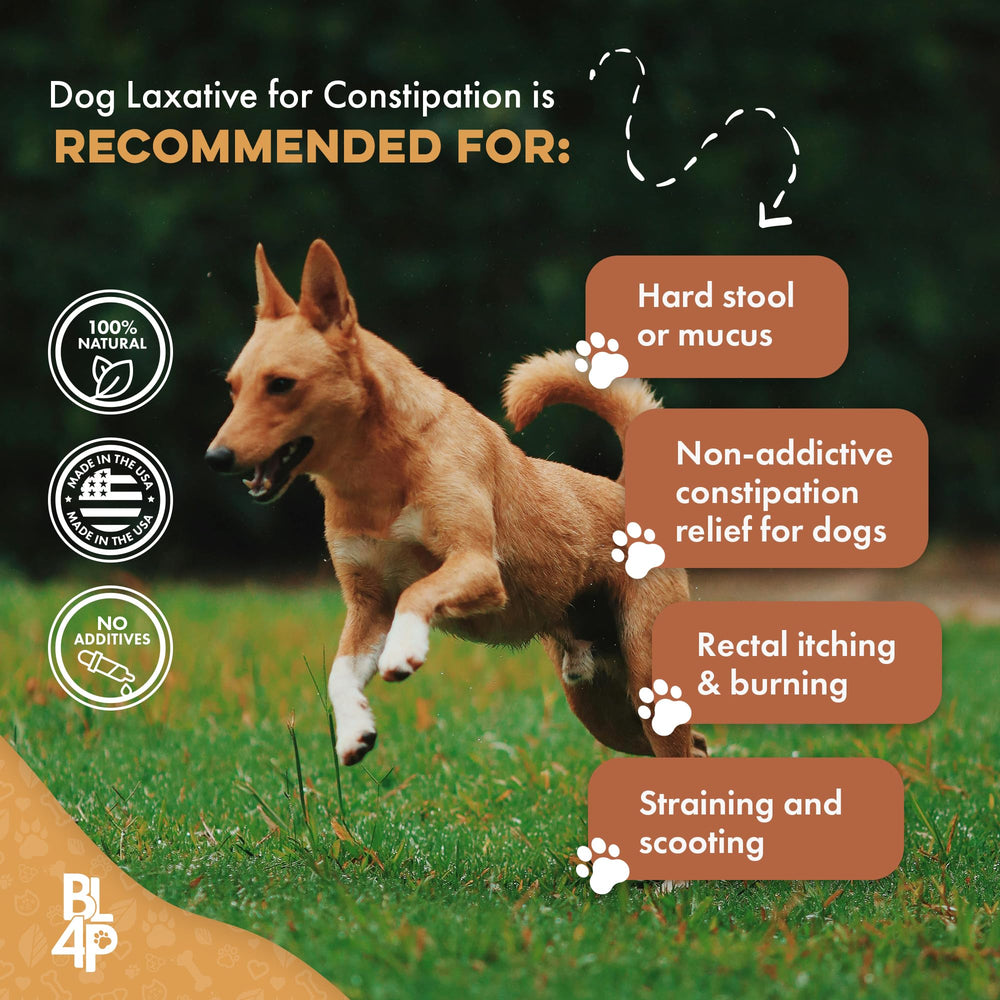 BestLife4Pets odorless tasteless pills shown for stress-free administration