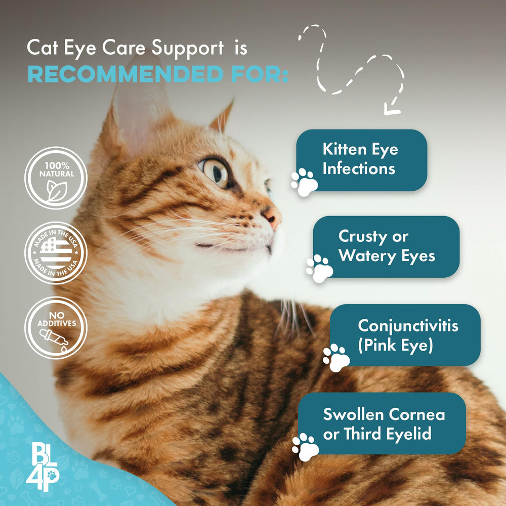 BestLife4Pets odorless-tasteless-pill easy to hide in treats for cats.