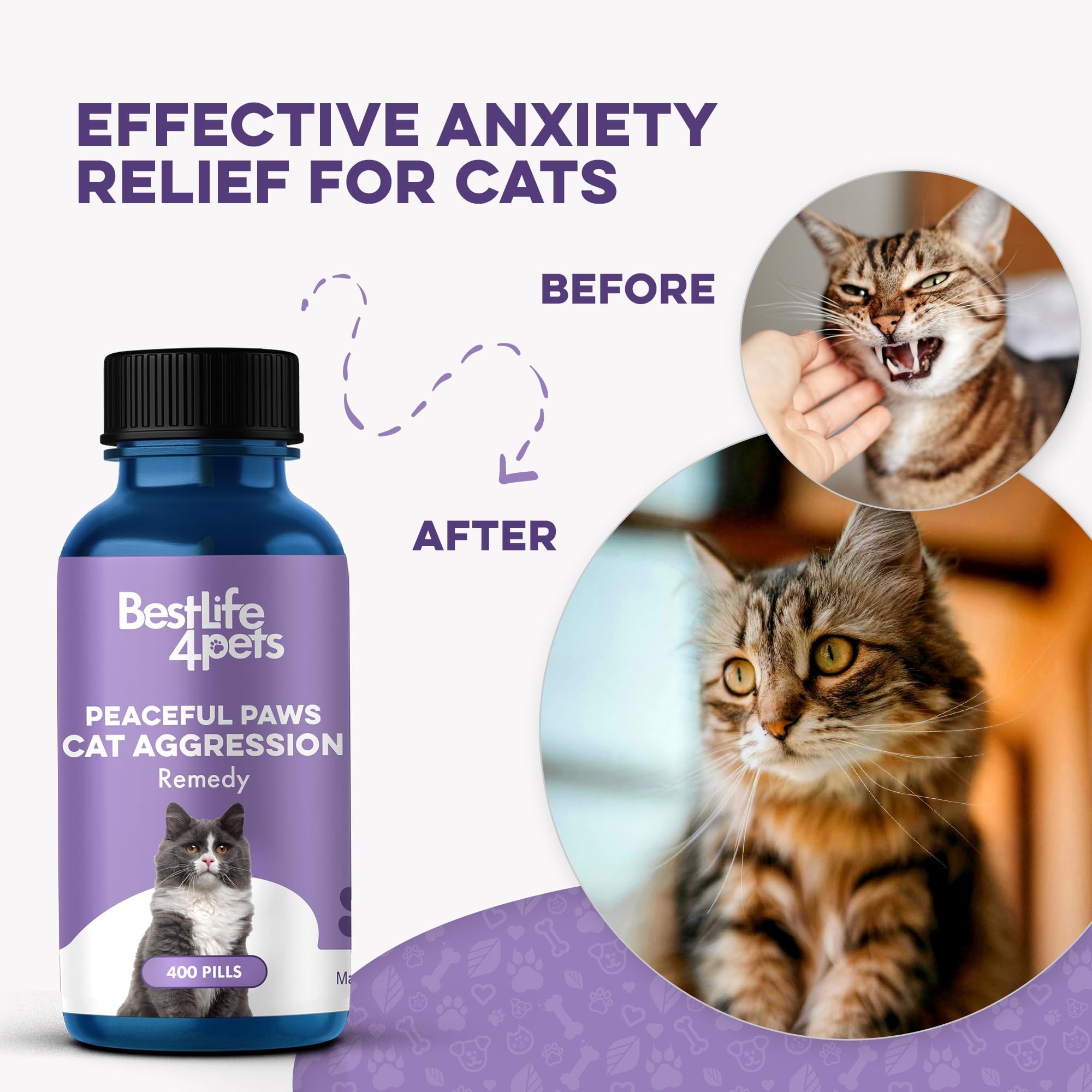 BestLife4Pets Peaceful Paws cat relaxing on sofa after remedy
