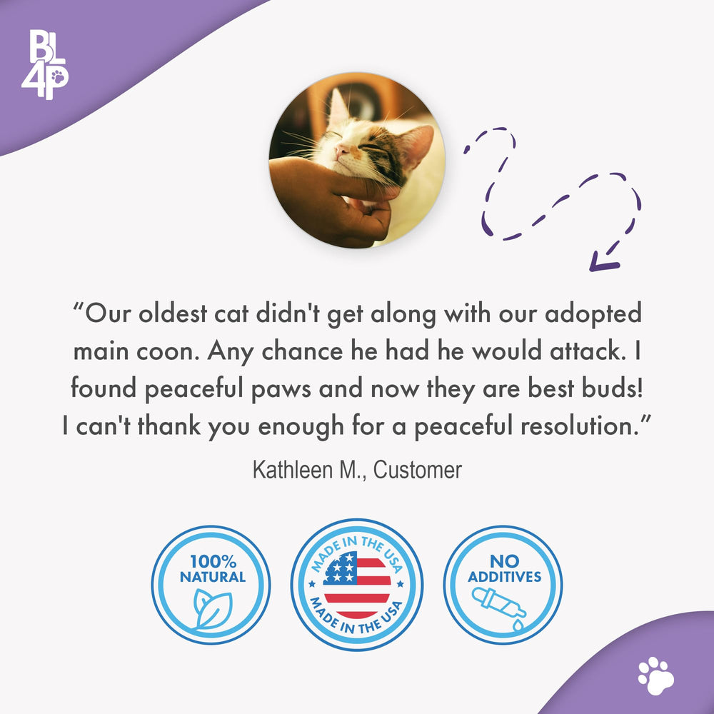 BestLife4Pets Peaceful Paws odorless pills close-up for non-drowsy relief
