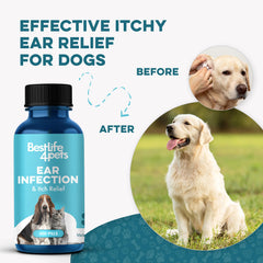 BestLife4Pets-pill-dissolved-in-water demonstrates flexible delivery options.