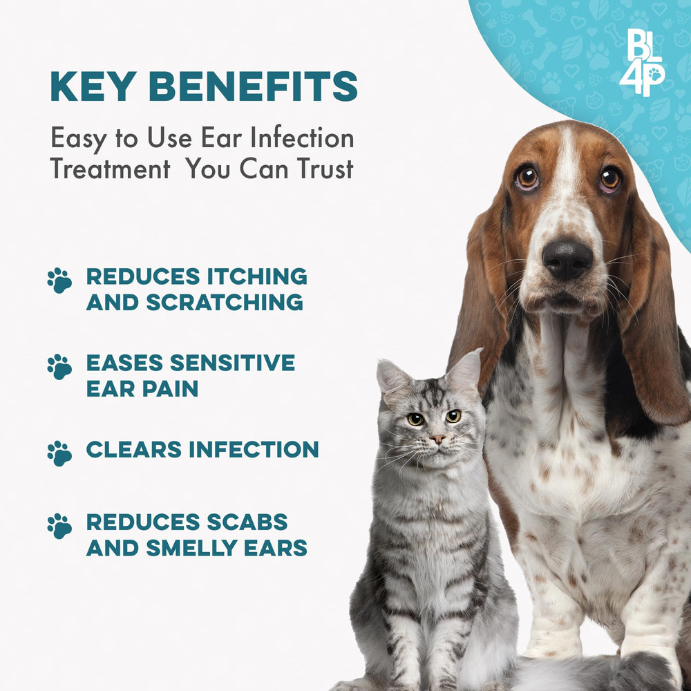 BestLife4Pets-pill-mixed-with-food shows simple meal integration for pets.