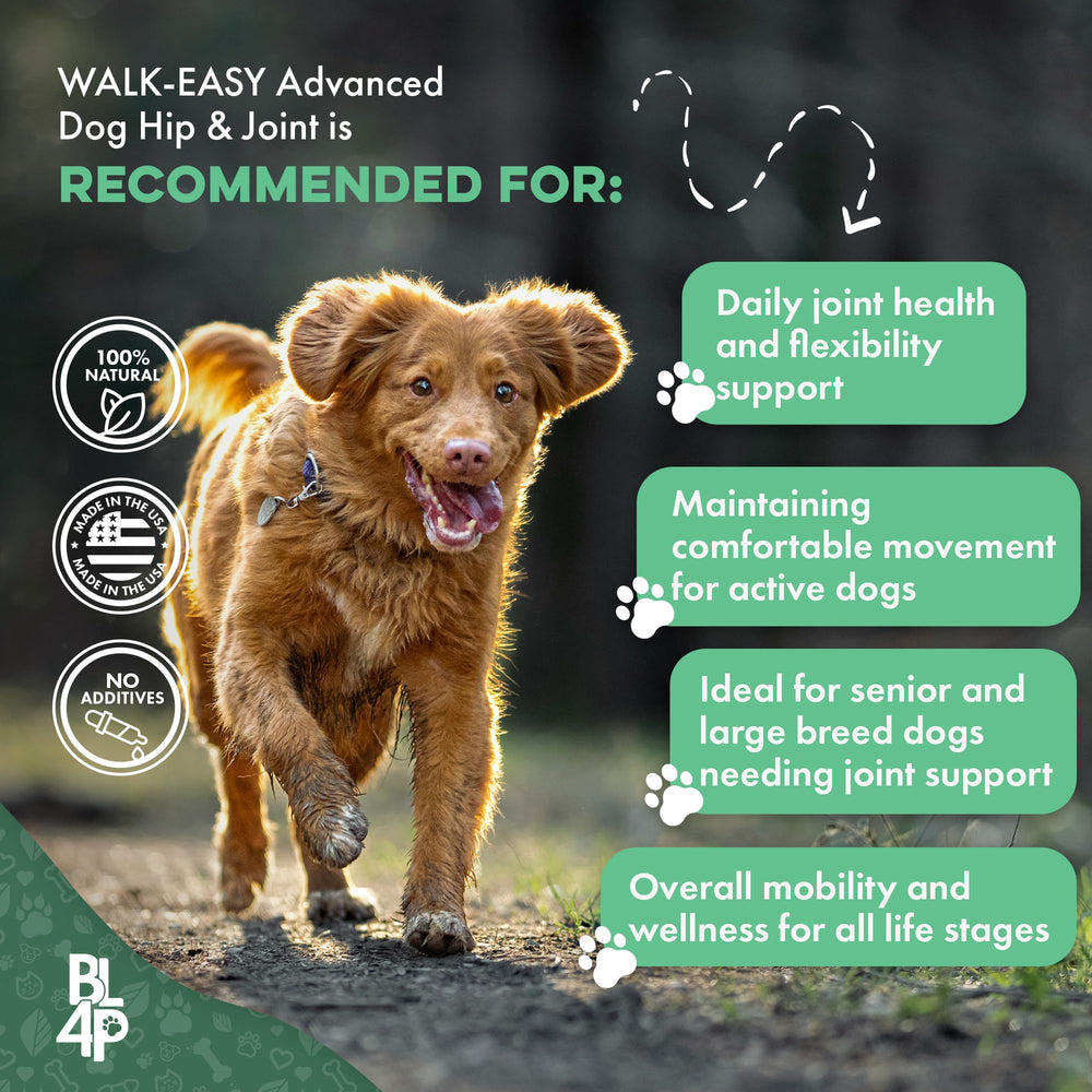 BestLife4Pets USA-made human-grade ingredients label signals premium, clean formulation.