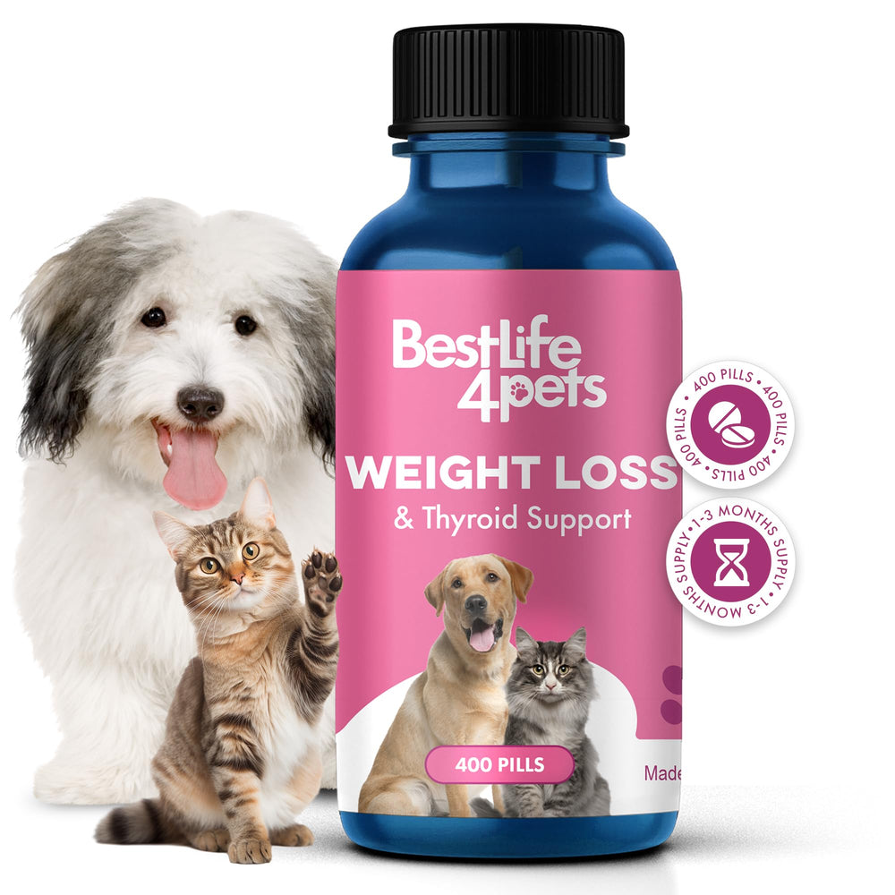 BestLife4Pets weight-thyroid pills bottle showing natural, odorless, easy-to-administer formula.
