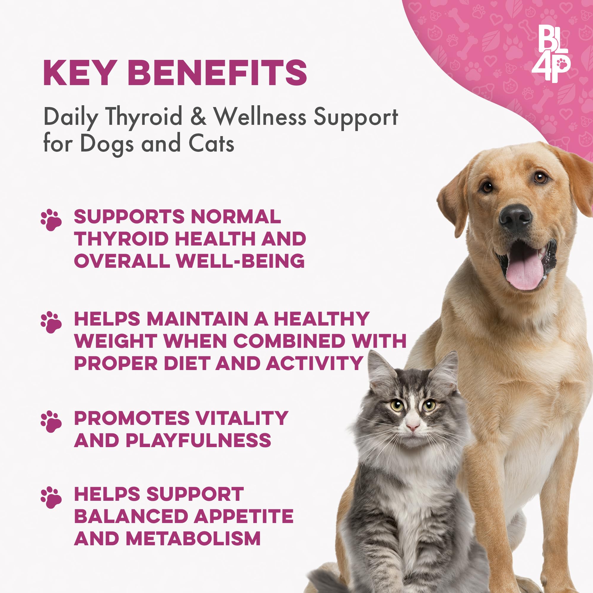 BestLife4Pets weight-thyroid pills cat-friendly, easy-to-administer for cats.