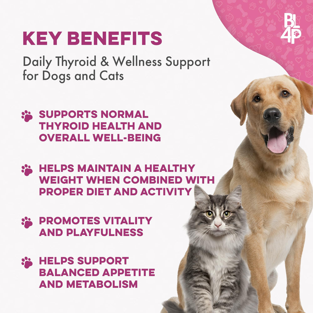 BestLife4Pets weight-thyroid pills cat-friendly, easy-to-administer for cats.