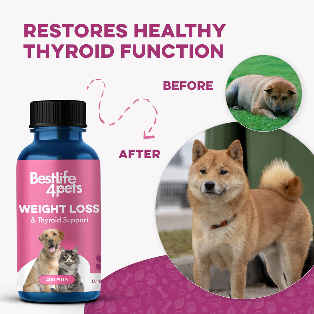 BestLife4Pets weight-thyroid pills dog-friendly, convenient for daily metabolism and appetite management.