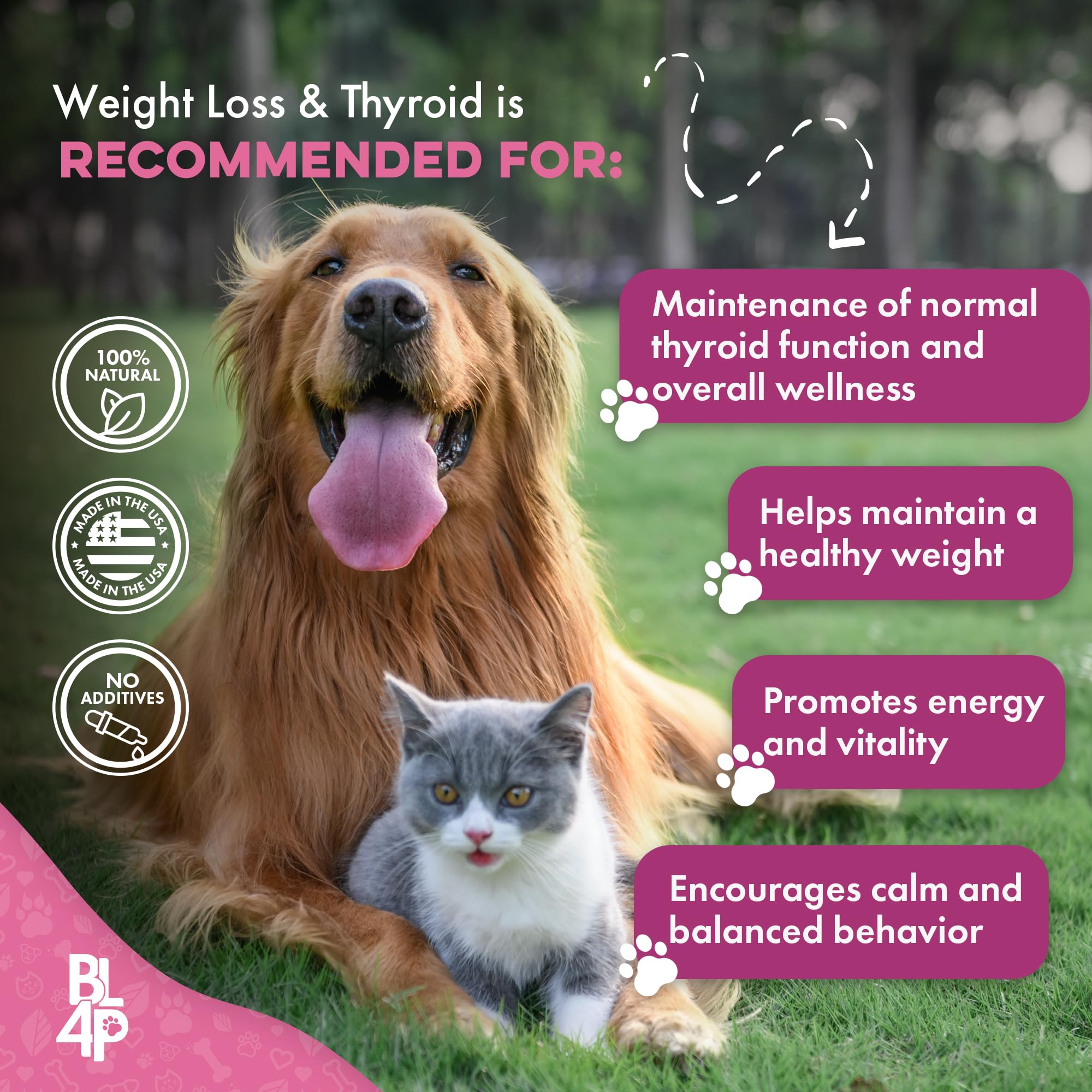 BestLife4Pets packaging highlights USA-made, gluten-free, non-GMO formulation.