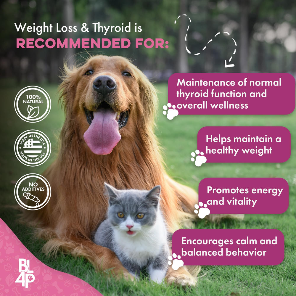 BestLife4Pets packaging highlights USA-made, gluten-free, non-GMO formulation.