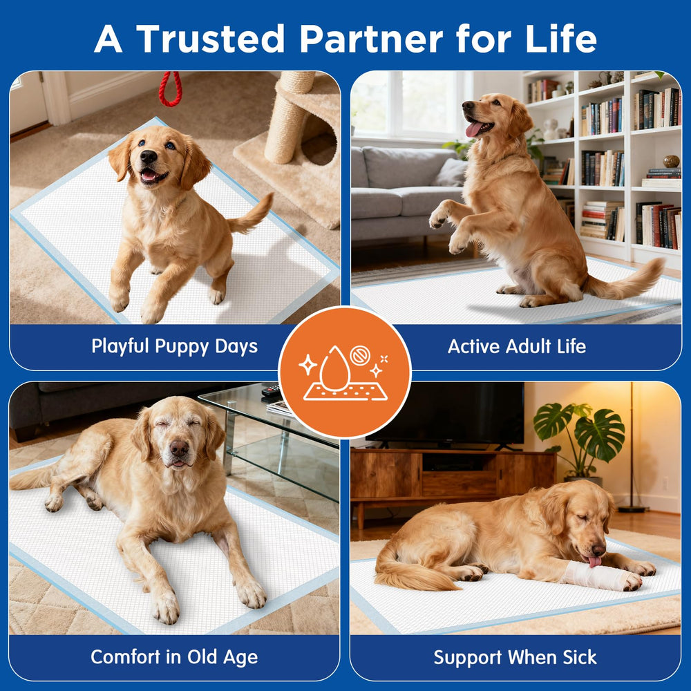 BESTRIPES helps seniors with discreet incontinence management at home and travel