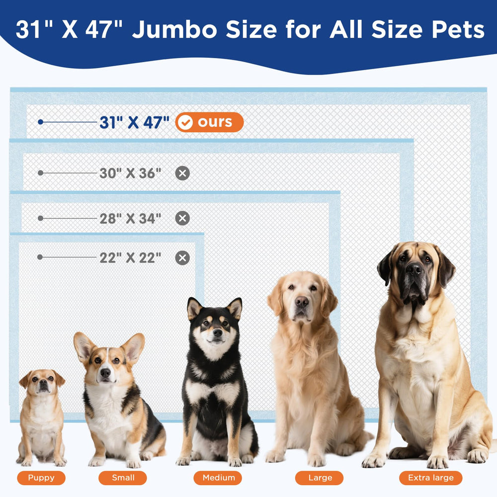 BESTRIPES value-pack delivering 40 pads for busy households