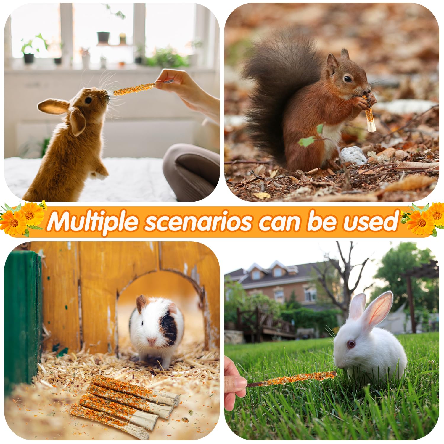 BETAM Vacuum-sealed packaging—keeps rabbit treats fresh and hygienic.