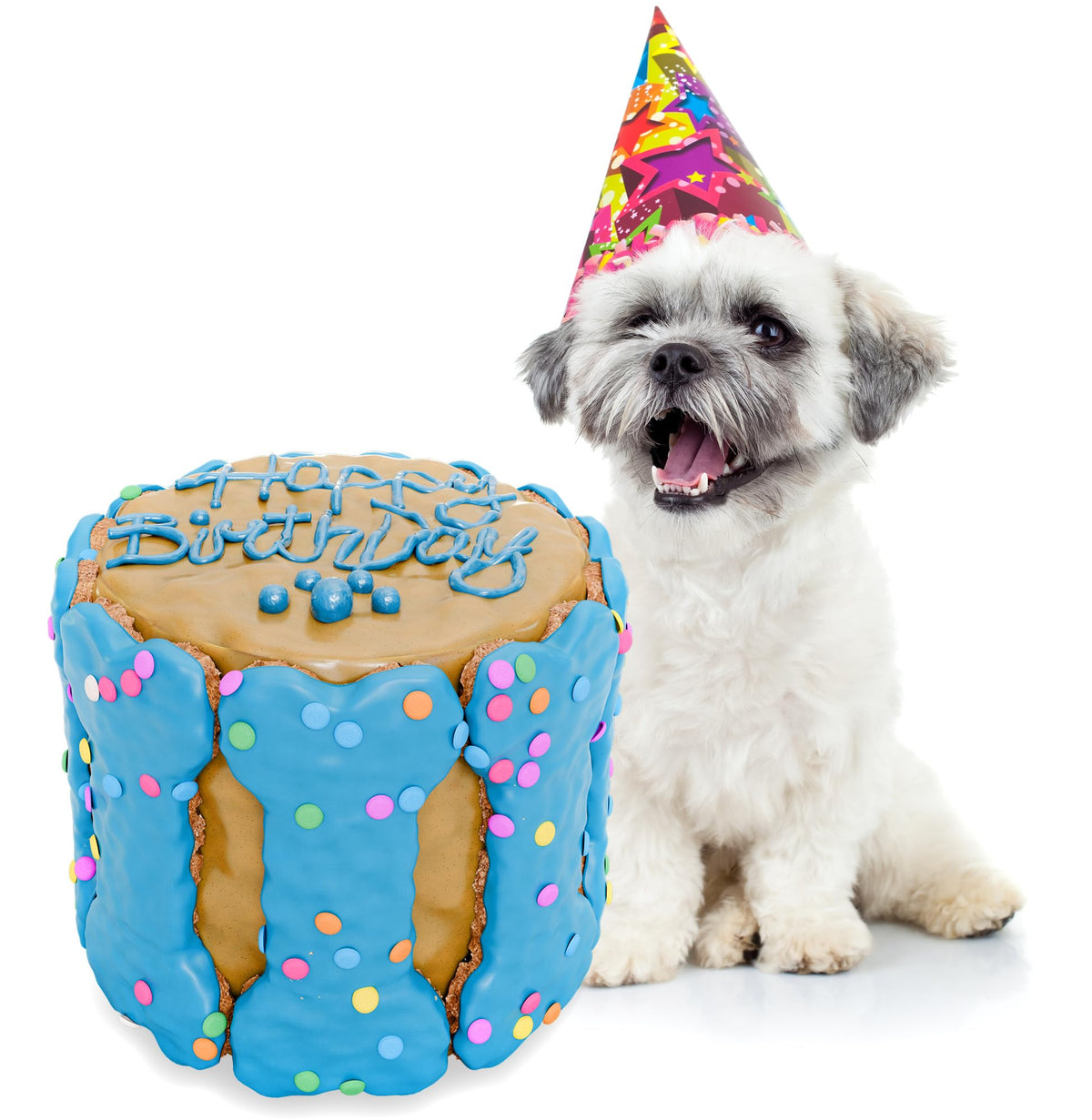 BETAPET dog birthday cake 5x5 blue for festive puppy celebration