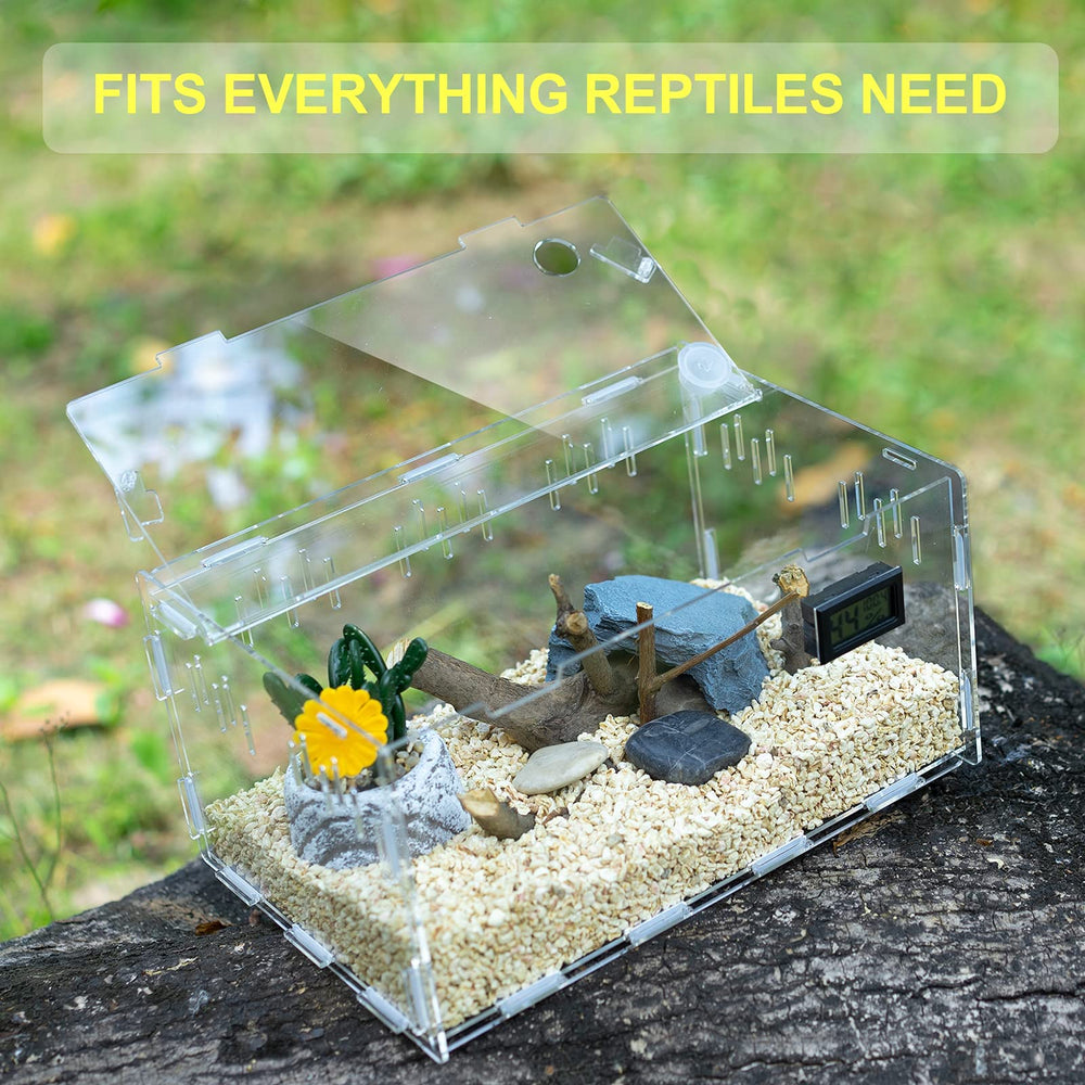 BETAZOOER reptile terrarium assembled view shows quick setup