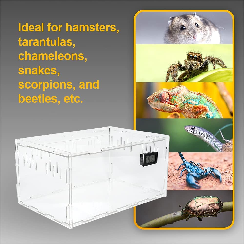 BETAZOOER reptile terrarium feeding-sliding-drawer for convenient feeding sessions