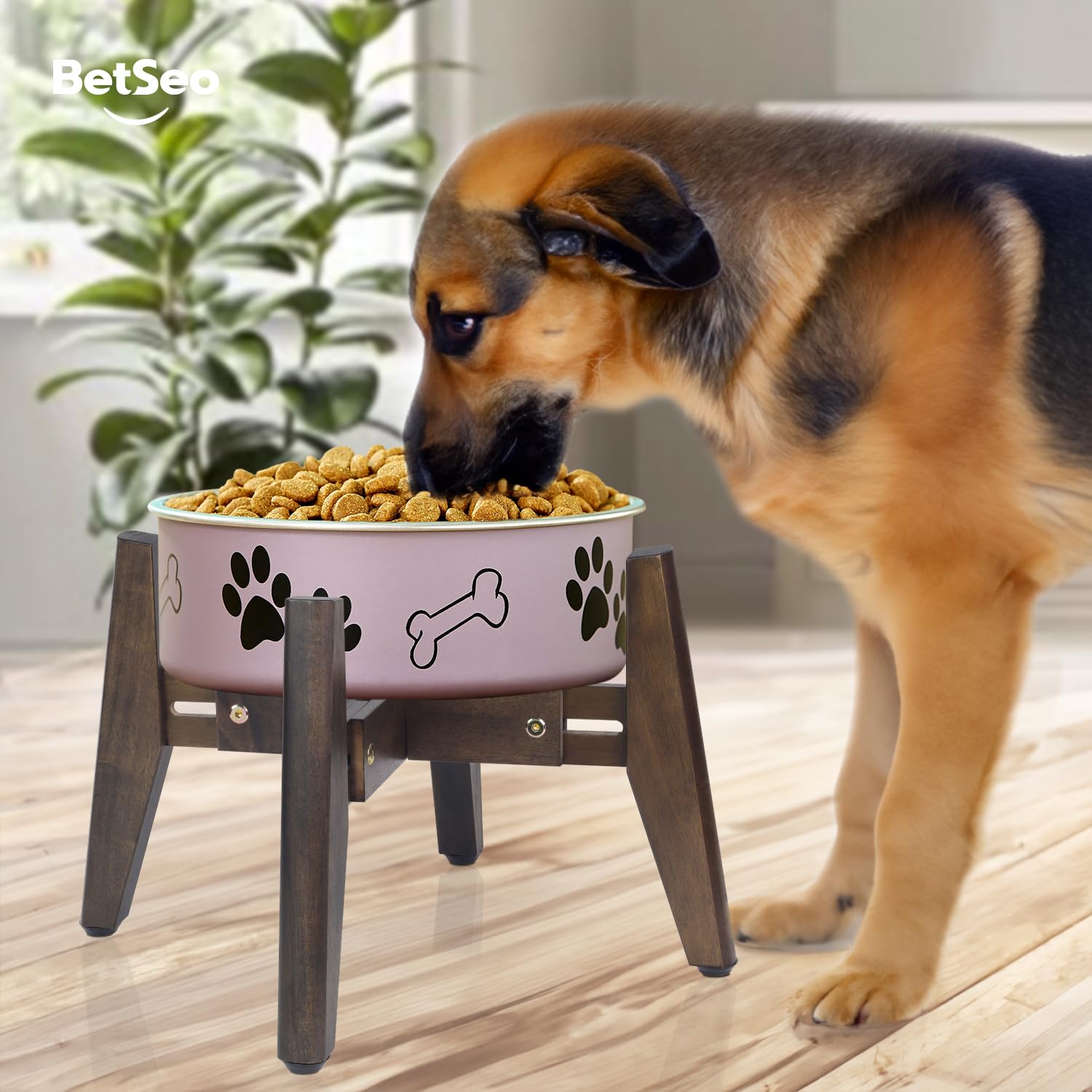 BETSEO 2Pack dog bowl stand bowl not included reminder.