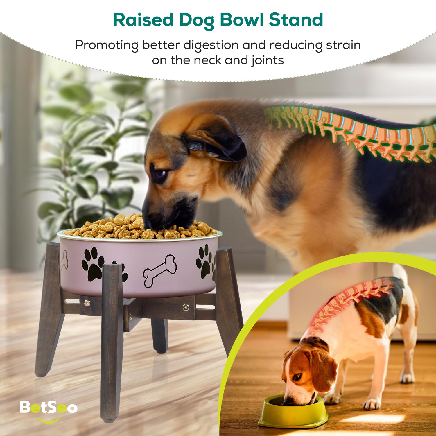 BETSEO 2Pack dog bowl stand height 10.4 inches fits medium to large breeds.