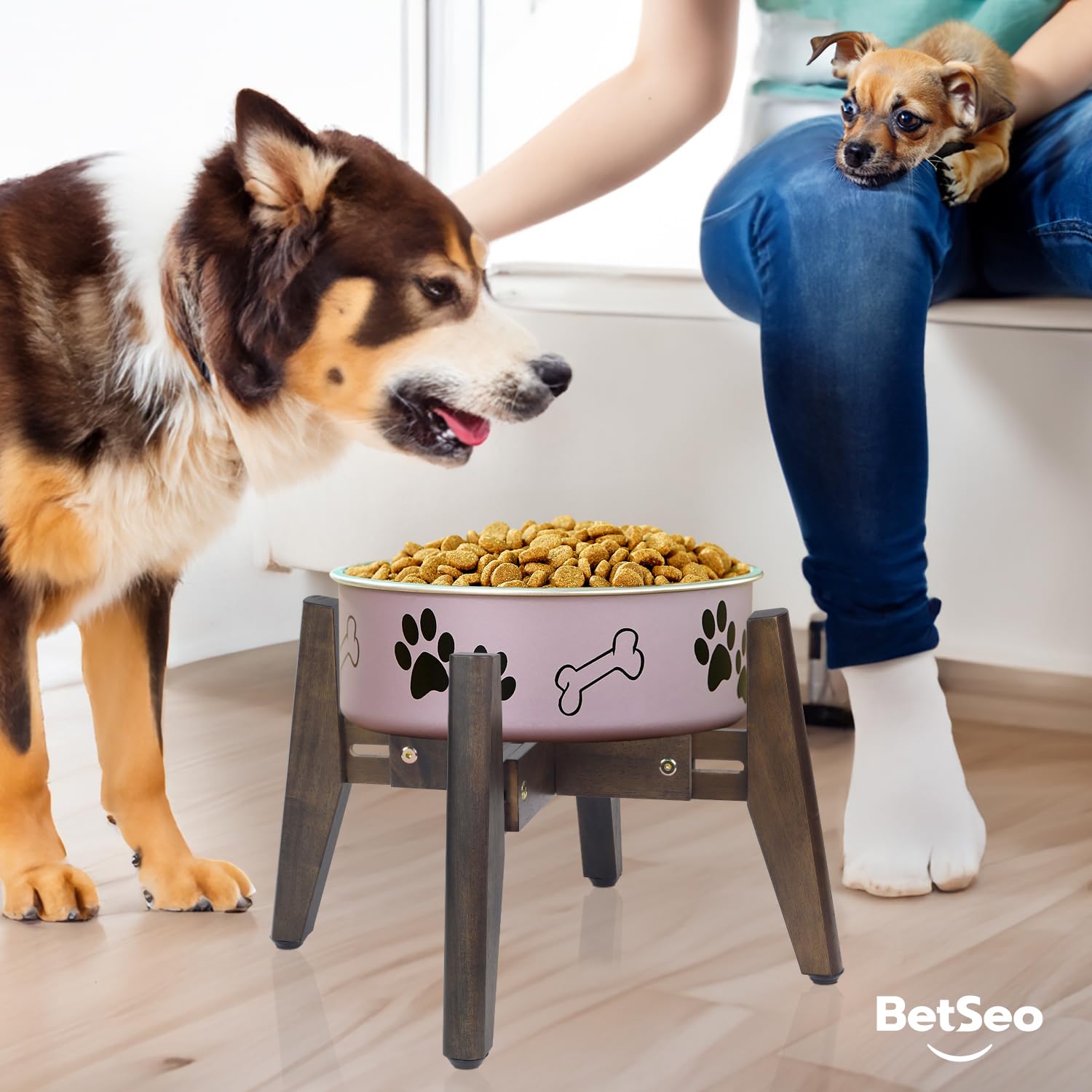 BETSEO 2Pack dog bowl stand in-use setup with bowls on top.
