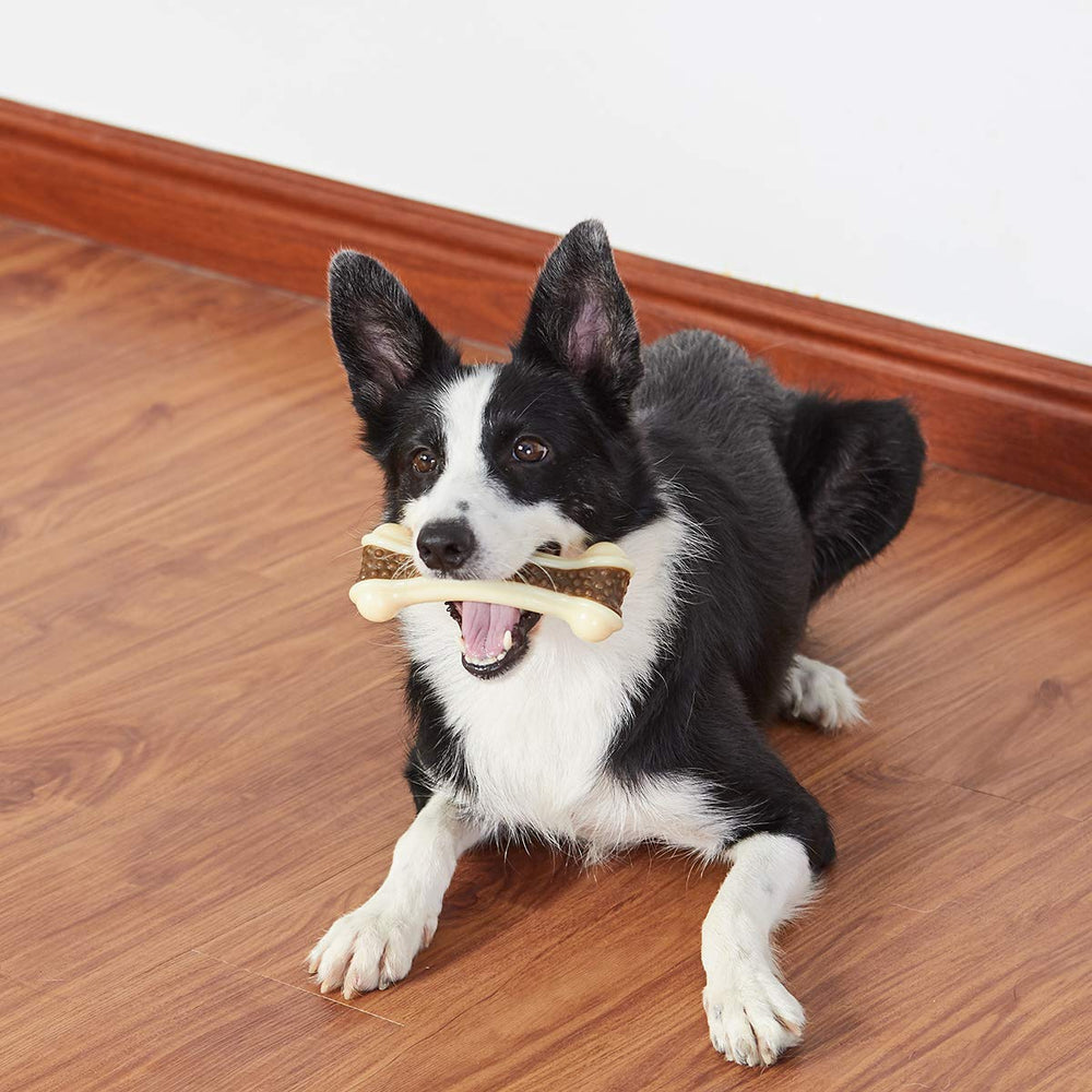 BETTEPROD 2-pack beef-flavor chew toys for value and variety
