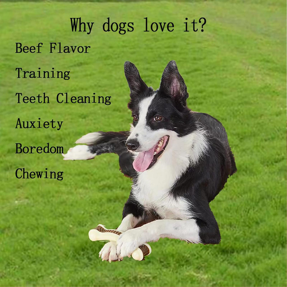 BETTEPROD large-dog chew 5.3 inches for bigger chewers.