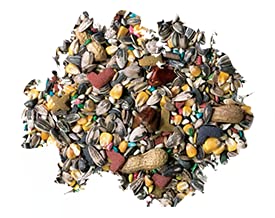 Better Bird parrot food bowl scene, ready for daily free-choice feeding.