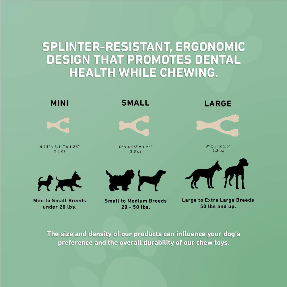 BetterBone dog-use-scenario image shows an engaging chew session for real-life use.