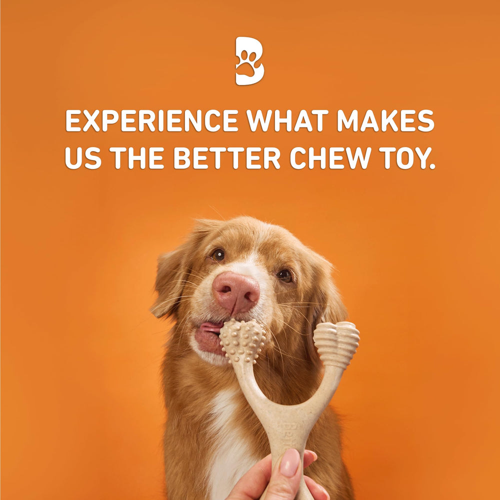 BetterBone nylon-free blend product image highlights safe, durable chews for dogs.