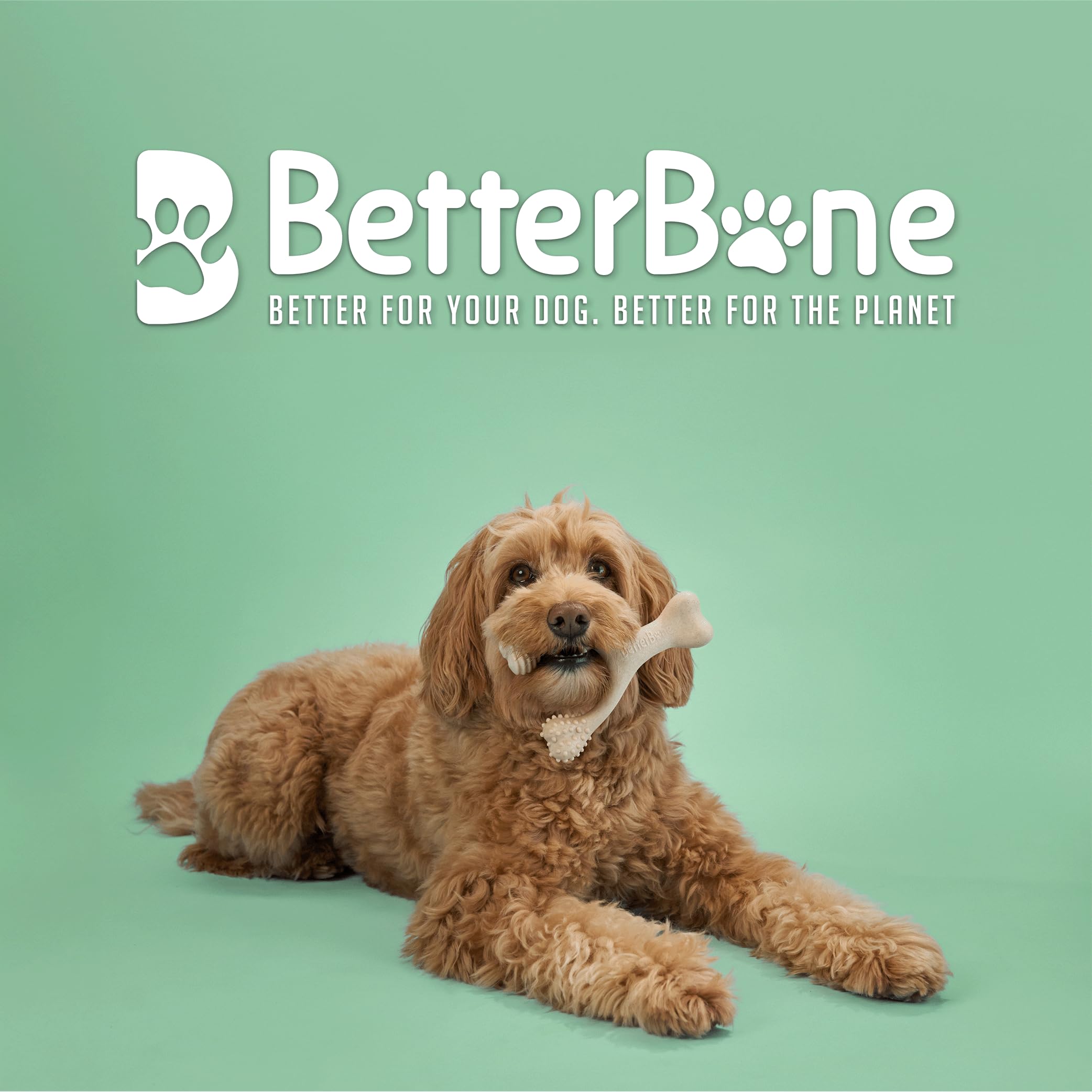 BetterBone nylon-free cellulose blend shows safe, non-toxic ingredients for dogs of all sizes.