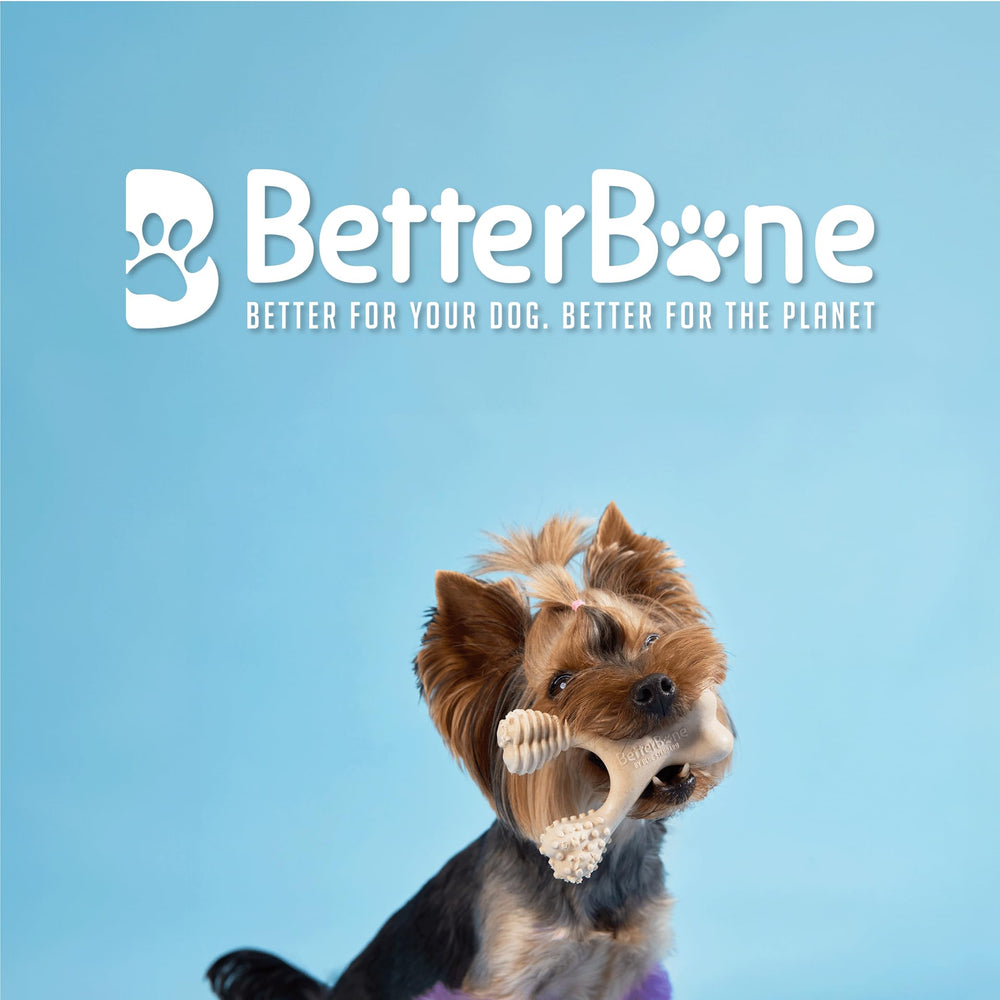 BetterBone nylon-free blend shown as non-toxic chew for safe chewing.