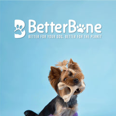 BetterBone nylon-free blend shown as non-toxic chew for safe chewing.