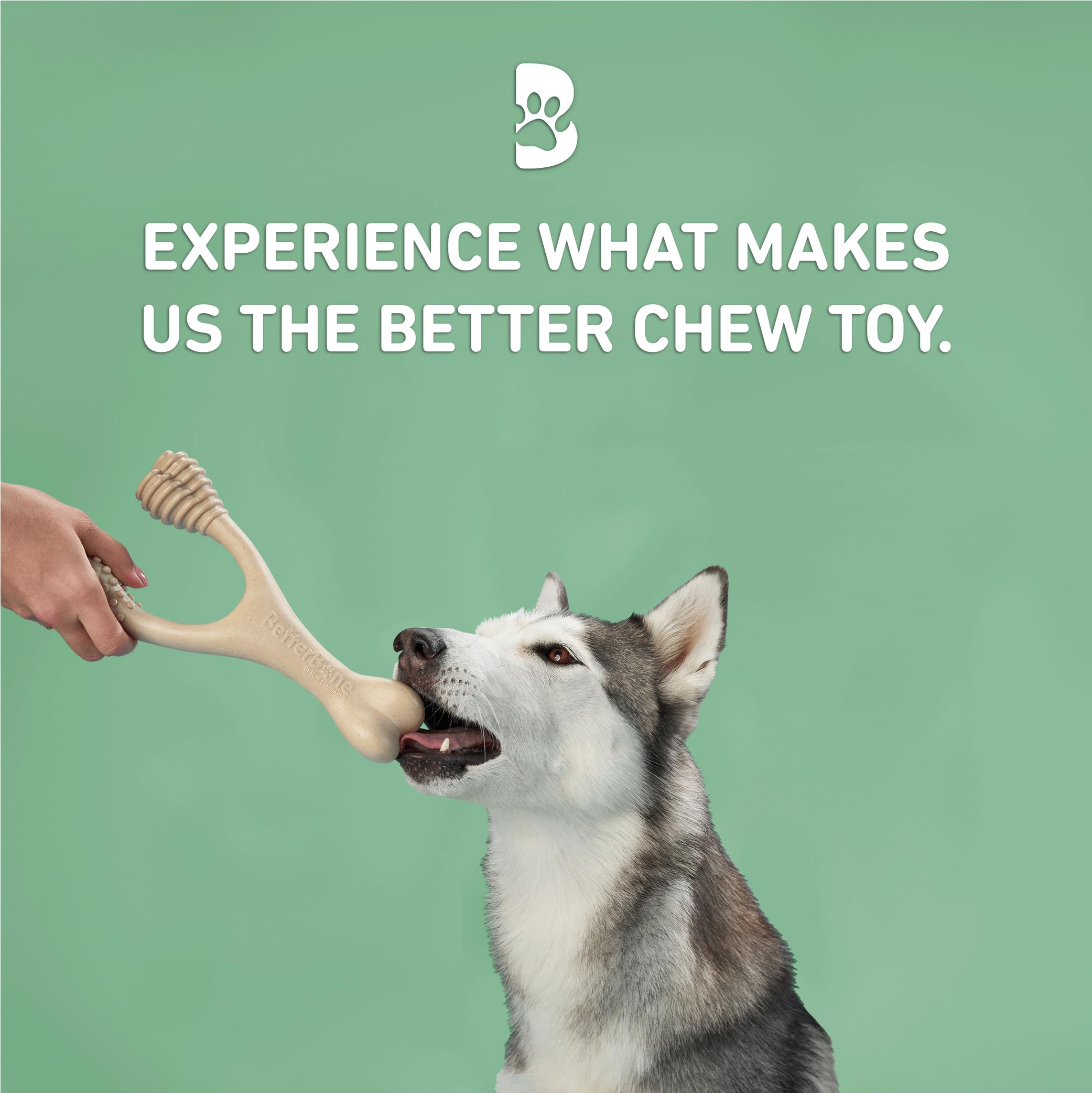 BetterBone splinter-resist-flakes showing safe, small-piece breakdown after chewing.