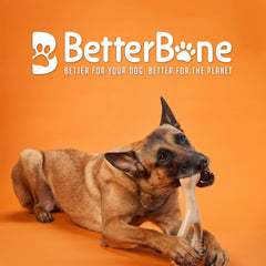 BetterBone trident wishbone ergonomic design in hand demonstrates easy grip during play.