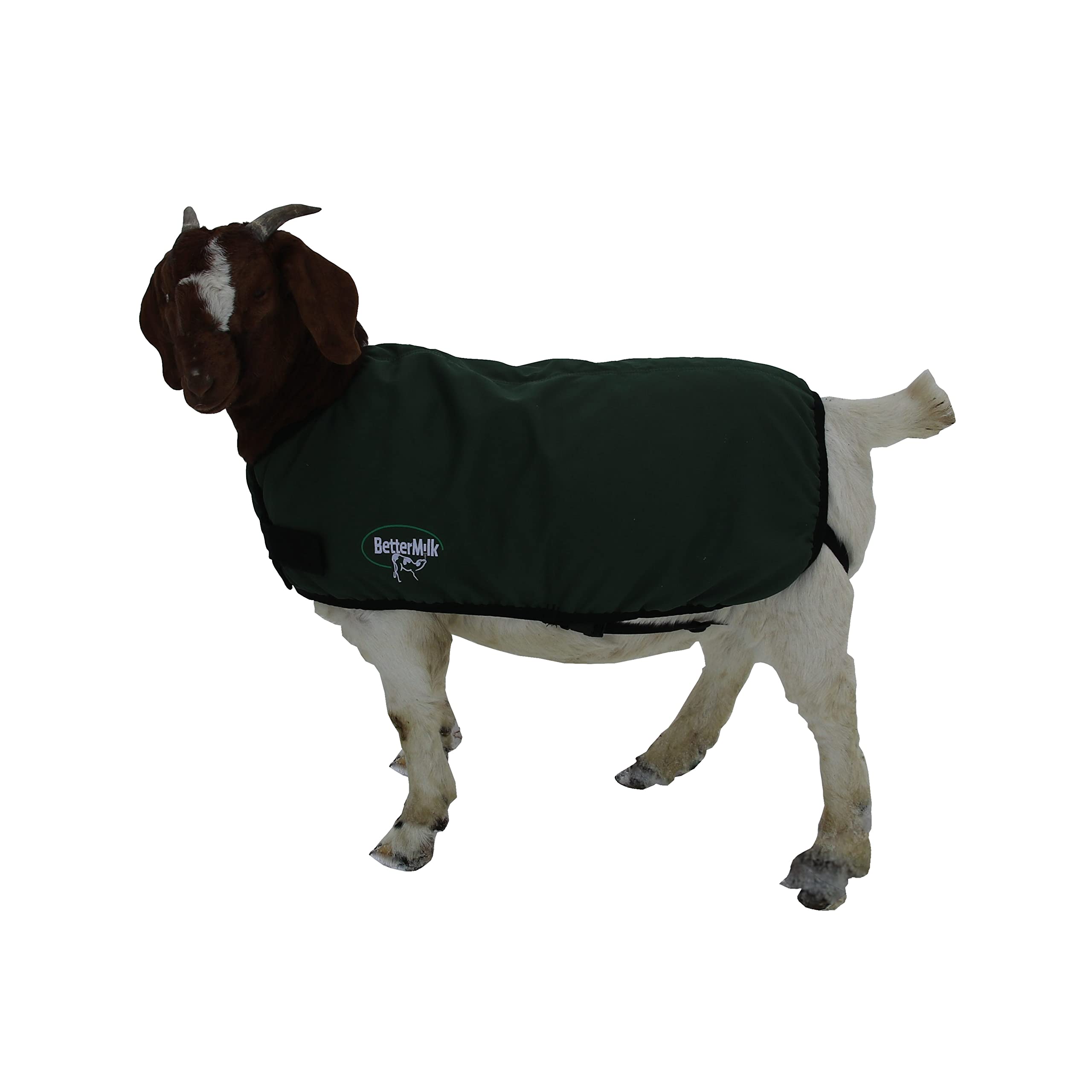 BetterMilk Calf Coat supports thermoneutral comfort and may lower energy use.