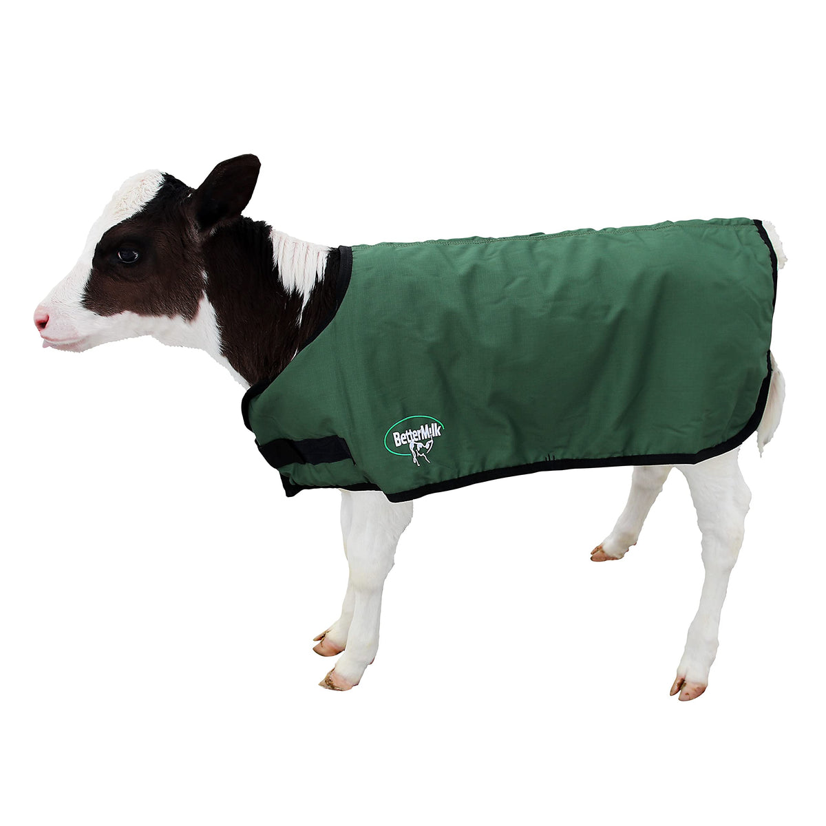 BetterMilk Calf Coat waterproof shell protects calves in rain and cold weather.