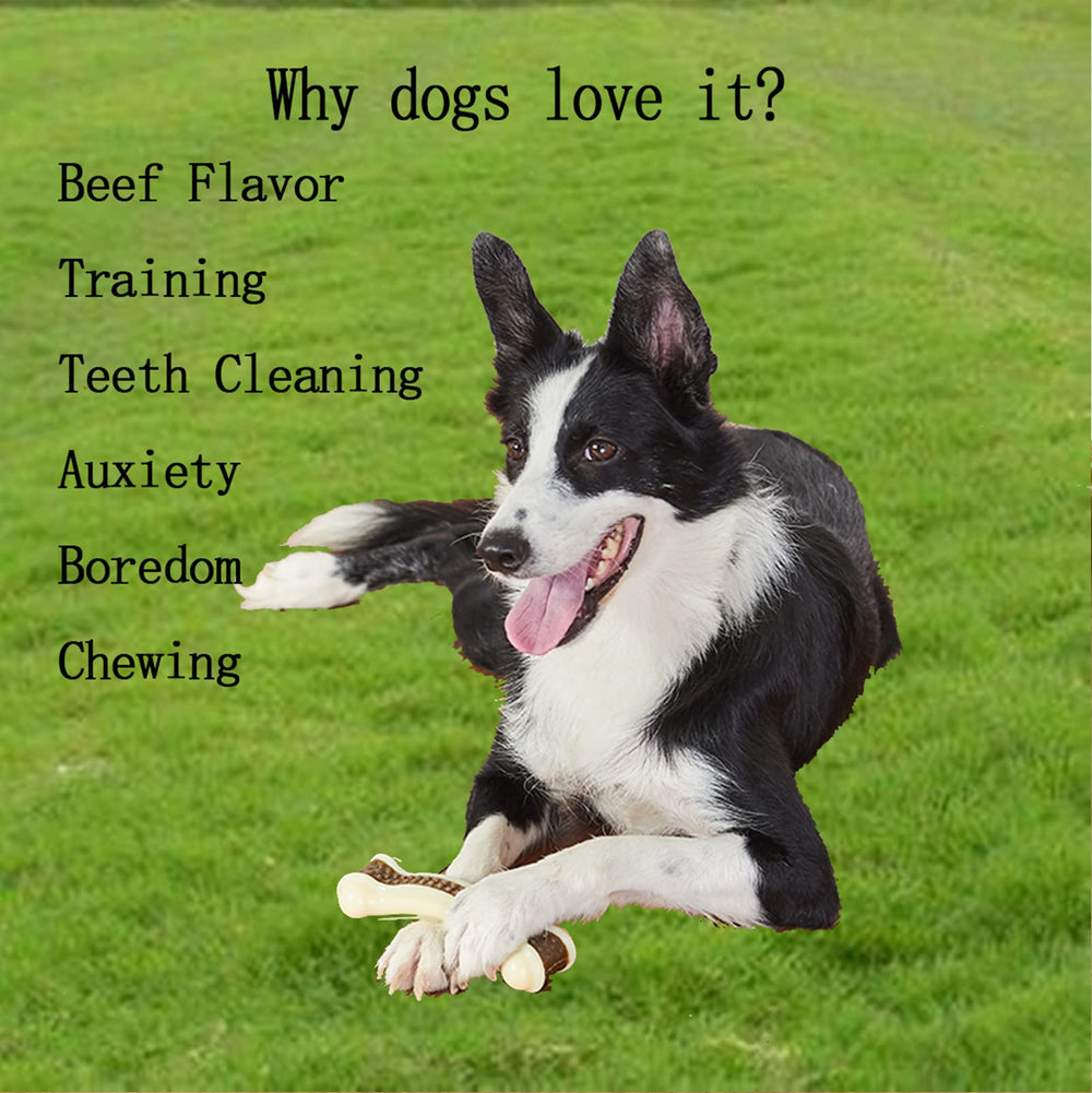 BETTEPROD dog chew toy beef flavor to boost interest and satisfaction during chews