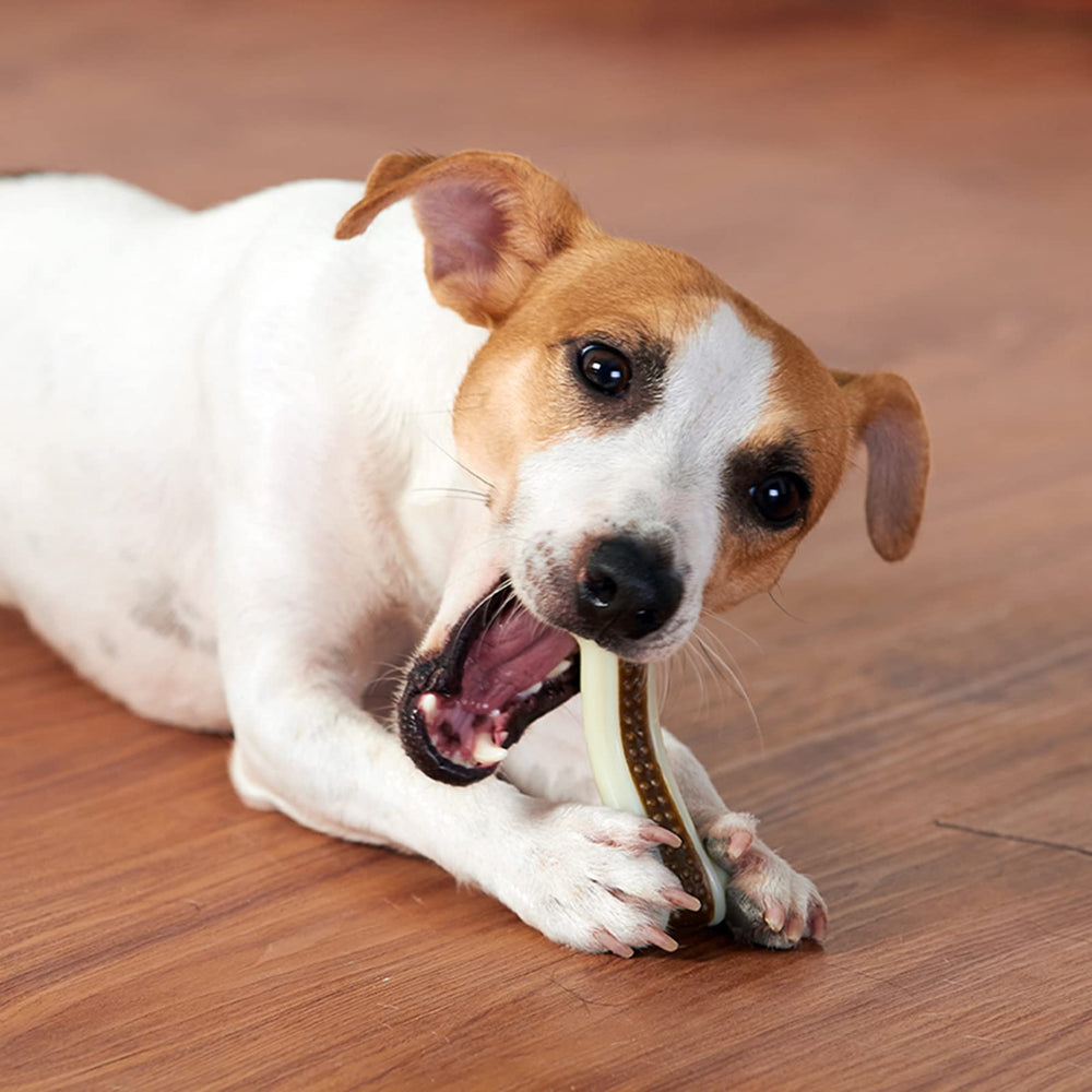 BETTEPROD durable nylon bone design helps maintain oral health and reduces anxious chewing