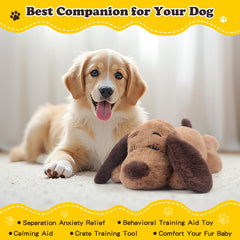 BEVERLYSHARK crate-training setup shows heartbeat toy promoting a secure environment.