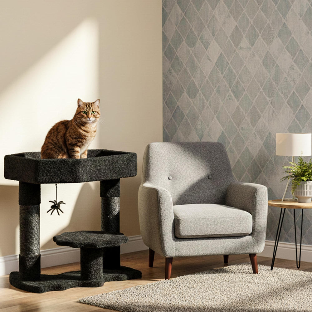 BEWISHOME cat-condo delivers a cozy hideaway for nap-ready felines