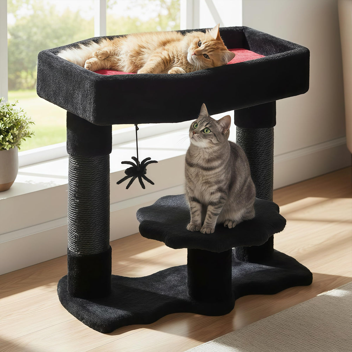 BEWISHOME coffin-bed-nook offers private lounging and calm naps for cats