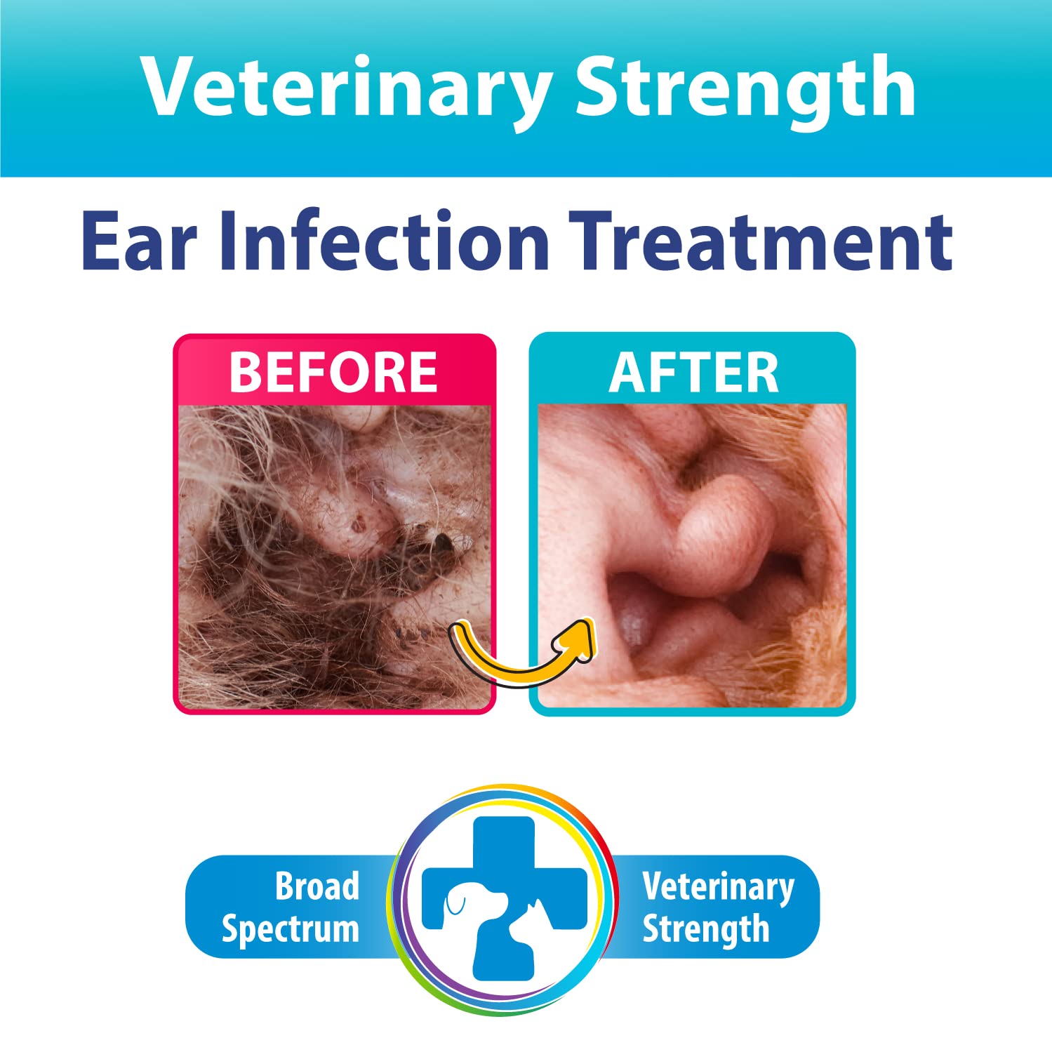 BEXLEY LABS Curaseb ear cleaner application drop for precise dosing and cleaning.