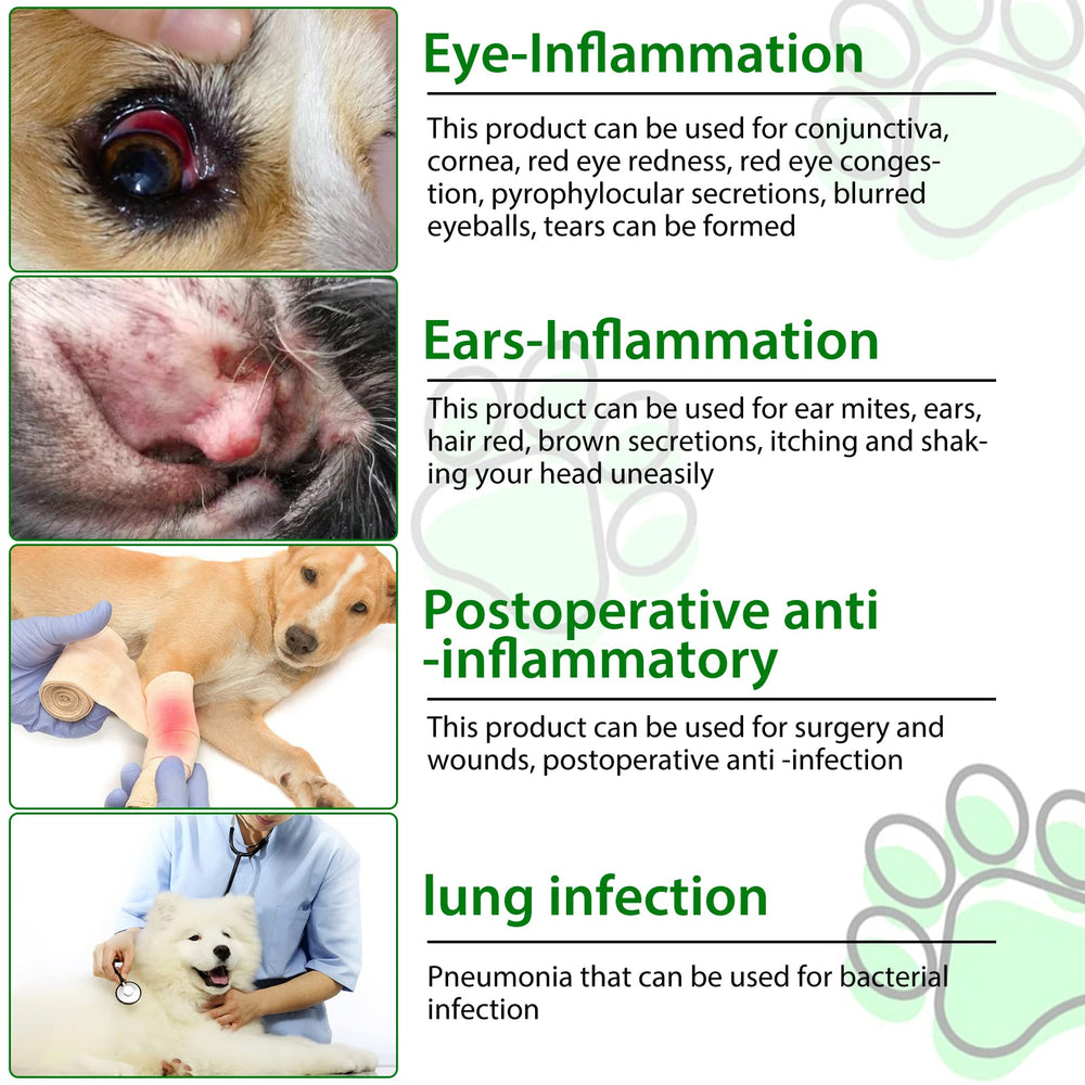 Beyxdu dog antibiotics ingredients-list highlighting Apple Cider Vinegar and herbs.