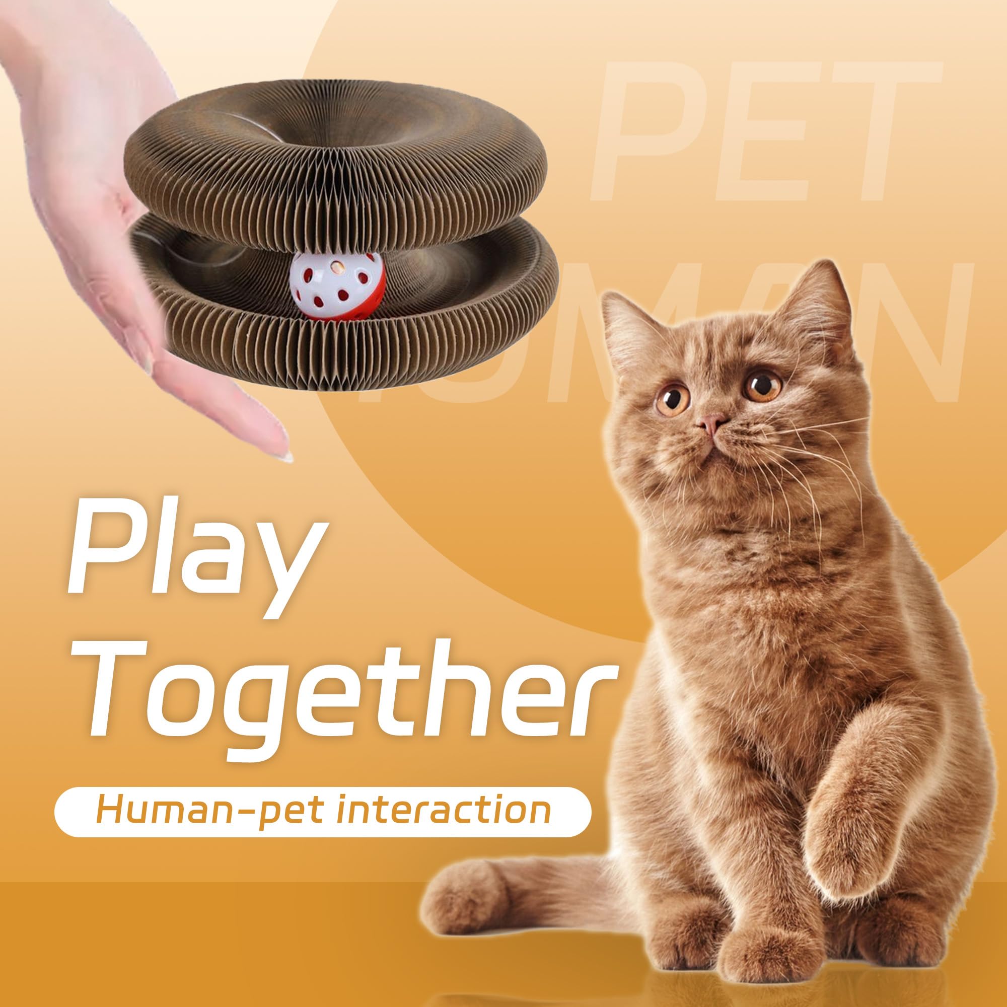 Bfbawm Kitty Toys set shown compact and gift-ready with easy storage.