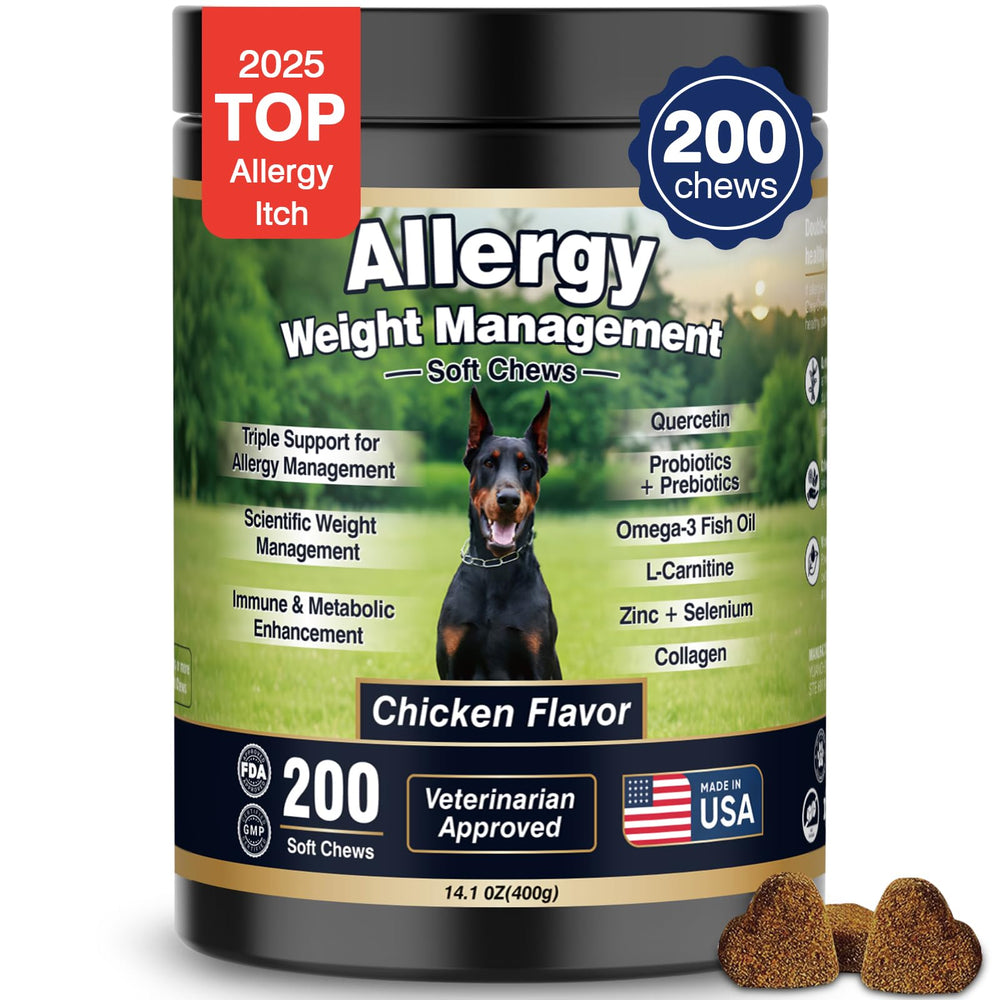 BFDEREN dog allergy relief chews bottle-front shows packaging for allergy support and immune balance.