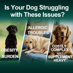 BFDEREN allergy chews ingredients panel featuring probiotics and colostrum for digestion and vitality.