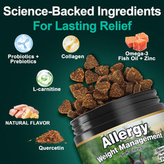 BFDEREN dog allergy chews label-illustration showcases omega-3 and zinc for skin and coat care.