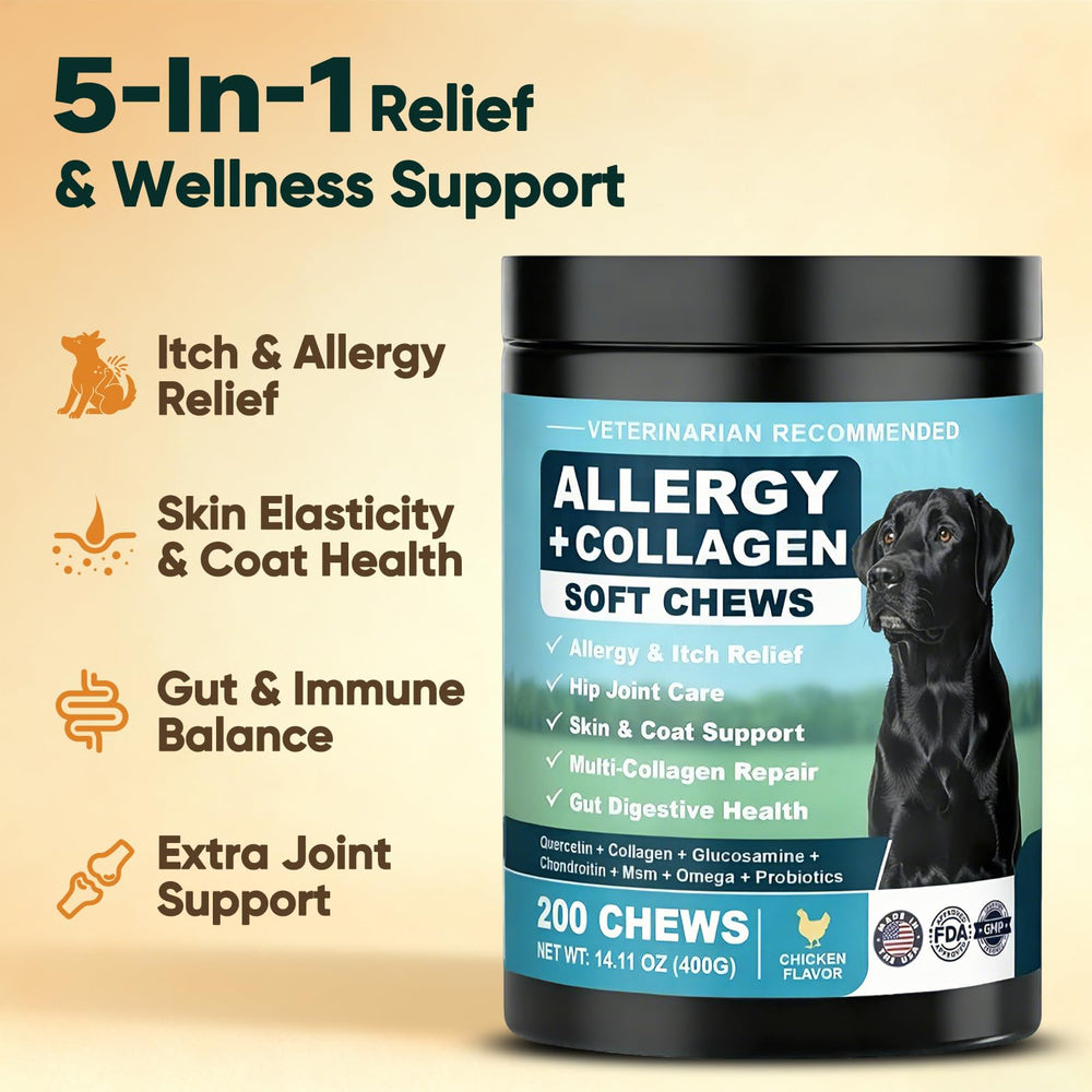 BFDEREN dog allergy chews pack demonstrates convenient, ready-to-use daily dose.