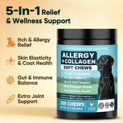BFDEREN dog allergy chews pack demonstrates convenient, ready-to-use daily dose.